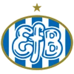 Home Team Logo